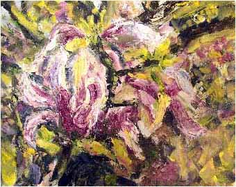 magnolia