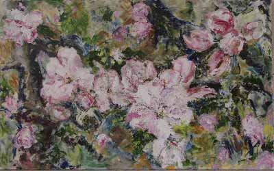blossom bloesem pink roze 