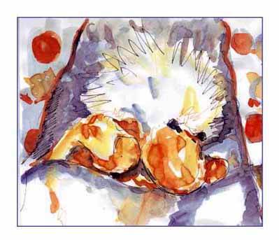 er ligt een eend in de wieg